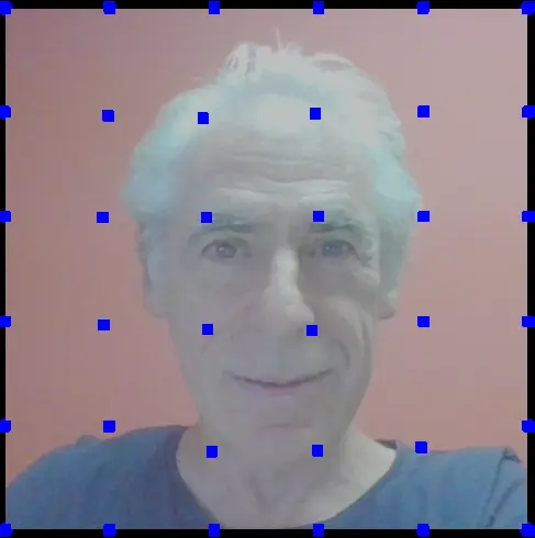 The same man’s face, compressed and with blue dots, but now slightly vertically elongated.