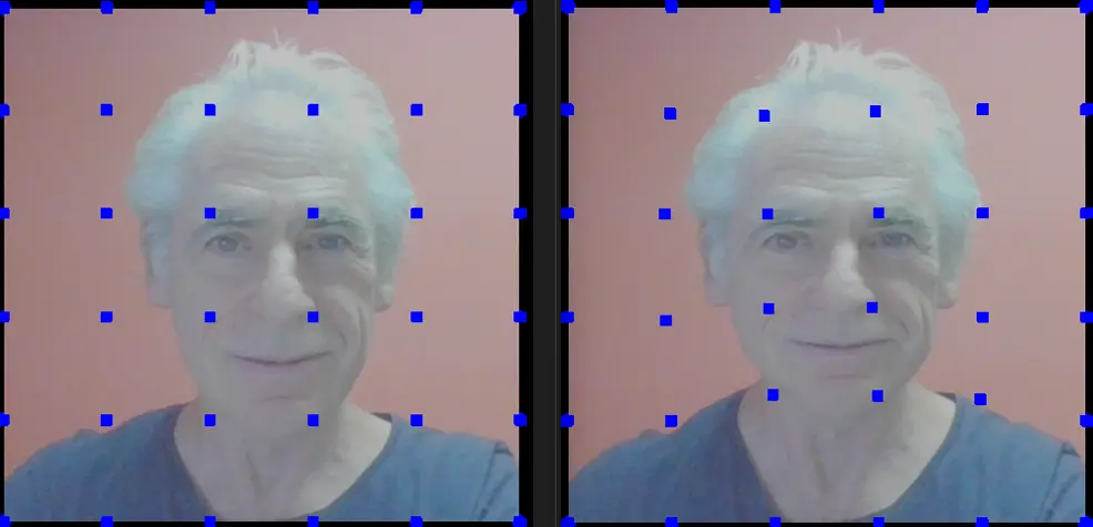 On the left, a man’s face. On the right, the same face stretched slightly wider, with a more compressed image and a grid of blue dots across it.