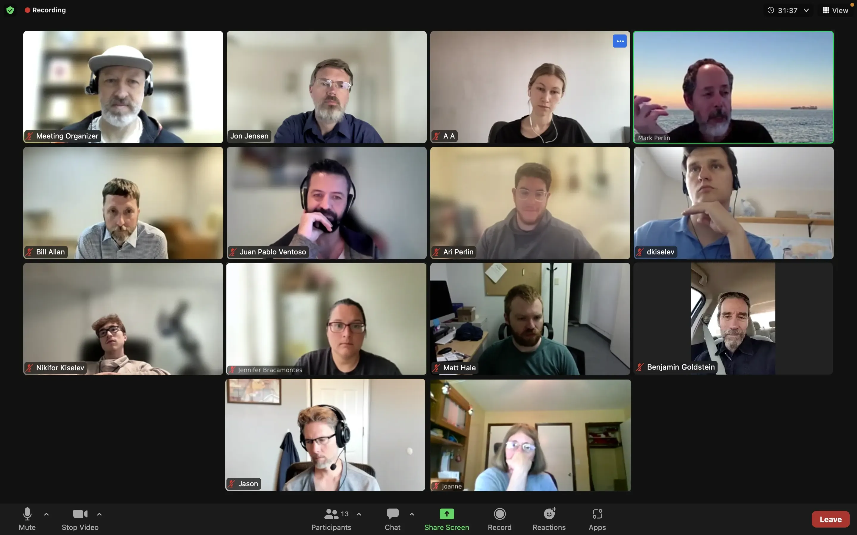 Fourteen End Pointers and Cybergenetics team members in a videoconference meeting