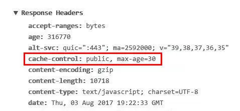 The response headers in Chrome DevTools with the cache-control header highlighted, including its value: “public, max-age=30”.