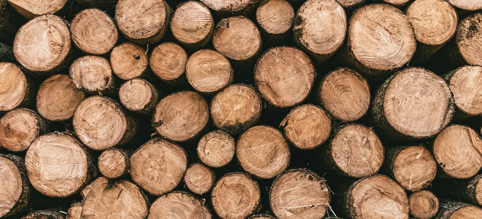 A side-on view of a large pile of wooden logs